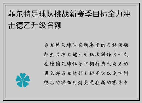 菲尔特足球队挑战新赛季目标全力冲击德乙升级名额