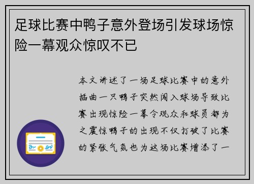 足球比赛中鸭子意外登场引发球场惊险一幕观众惊叹不已