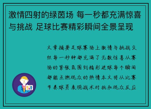 激情四射的绿茵场 每一秒都充满惊喜与挑战 足球比赛精彩瞬间全景呈现