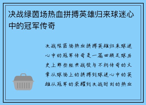 决战绿茵场热血拼搏英雄归来球迷心中的冠军传奇